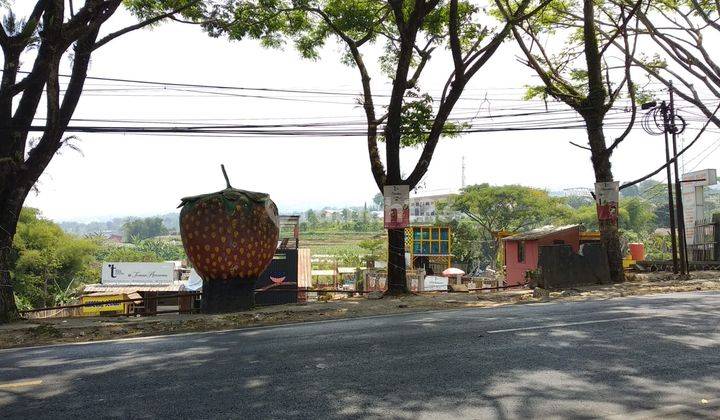 Tanah Luas di Pinggir Jalan Arah Cianjur Cipanas 1