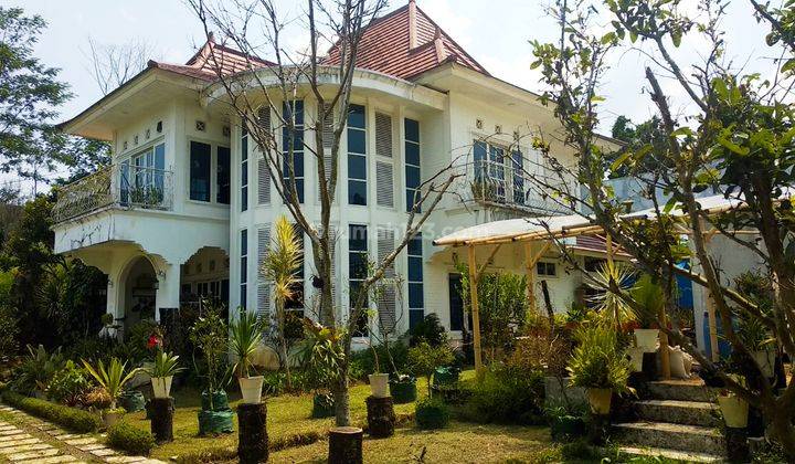 Villa Bagus Luas 2 Hektar + Kebun Tanaman Hydroponic 1