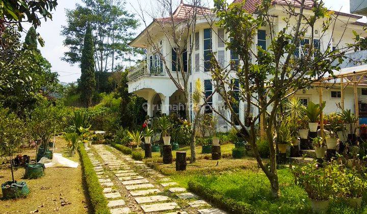 Villa Bagus Luas 2 Hektar + Kebun Tanaman Hydroponic 2