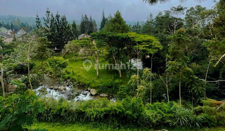 Villa Mewah di Kota Bunga Cipanas Suasana Asri 2