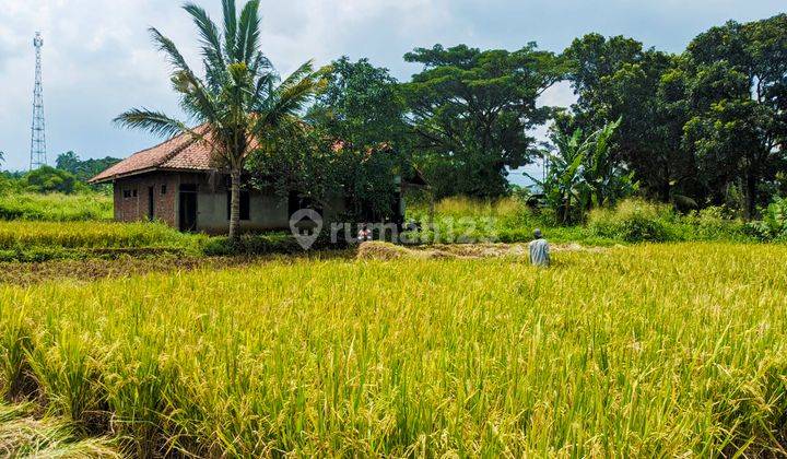 Tanah Luas 2.100 m² di Pinggir Jalan Raya Sukabumi Cianjur