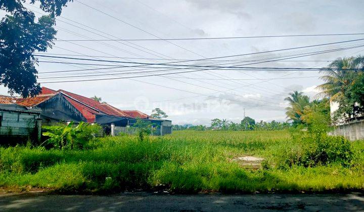 Tanah Komersial Sangat Luas Cocok Untuk Usaha Atau Pabrik 1