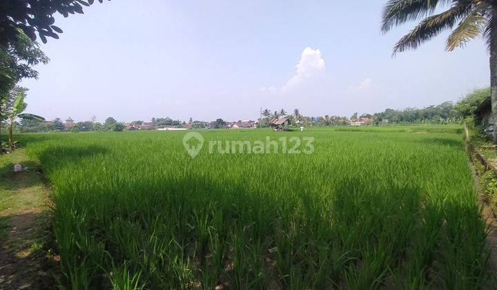 Lahan Tanah Luas Lokasi Strategis Untuk Gudang Dan Usaha Lainnya 2