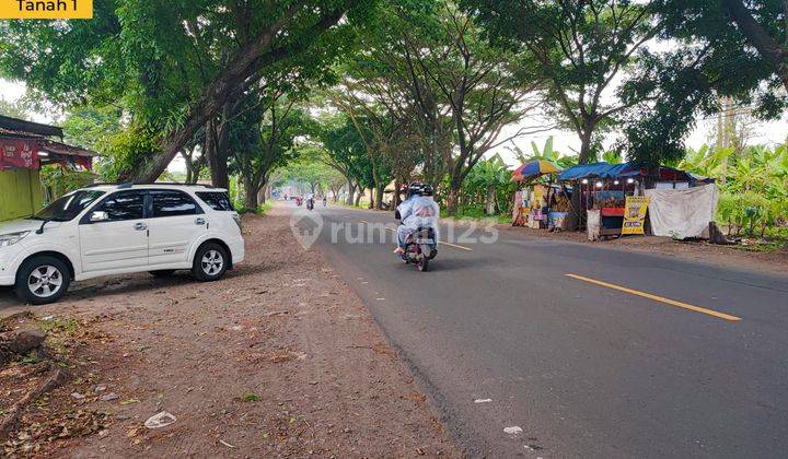 Tanah Sangat Luas di Samping Jalan Provinsi Cocok Untuk Usaha 2