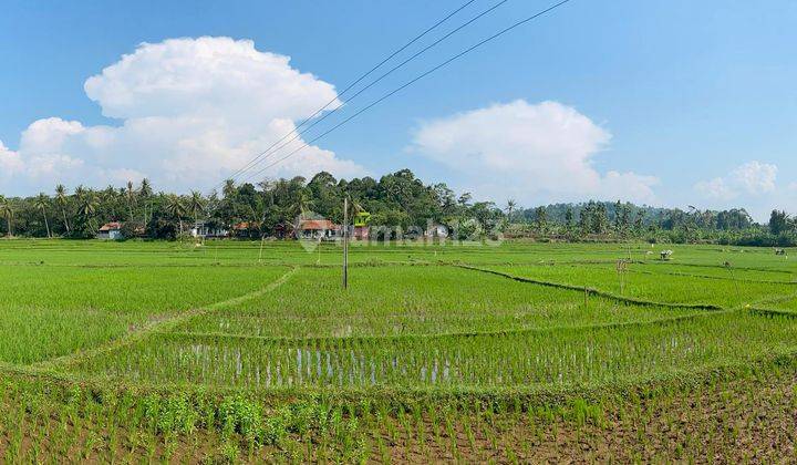 Tanah Sangat Luas Dekat Pusat Kota Cianjur Cocok Untuk Bisnis 1