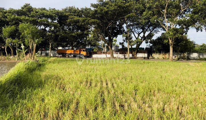 Tanah Sawah 3220 m2 di Karangtengah Dekat Pusat Kota Cianjur 1