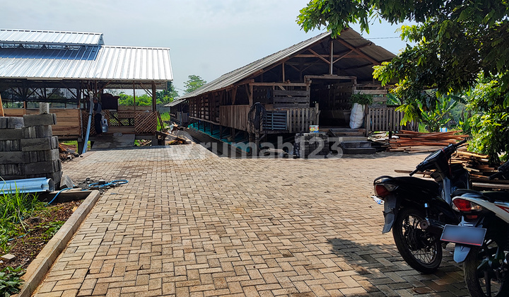 Productive Land / Sheep Farm Suitable for Business in Retirement Productive Land / Sheep Farm Suitable for Business in Retirement