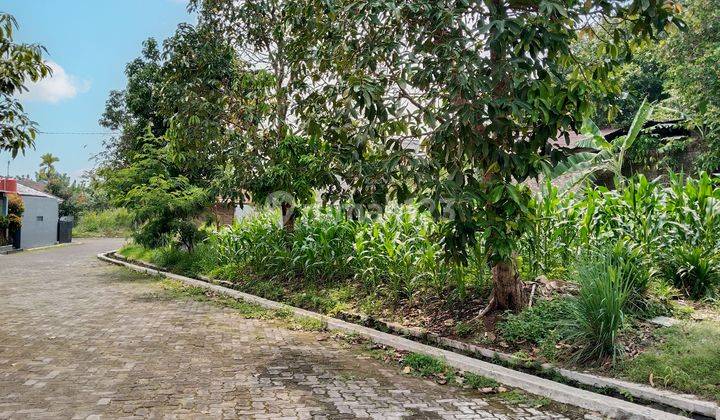 Tanah Luas 226 m² Cocok Untuk Rumah di Pusat Kota Cianjur 2