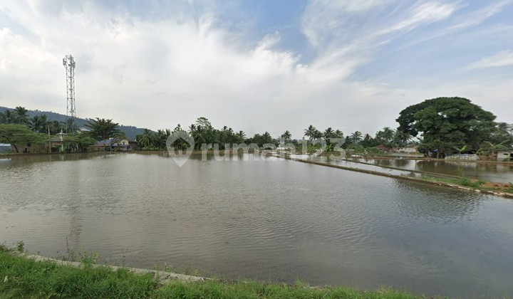 Lahan Tanah Luas Strategis Dekat Pusat Kota Cianjur Lahan Tanah Luas Strategis Dekat Pusat Kota Cianjur