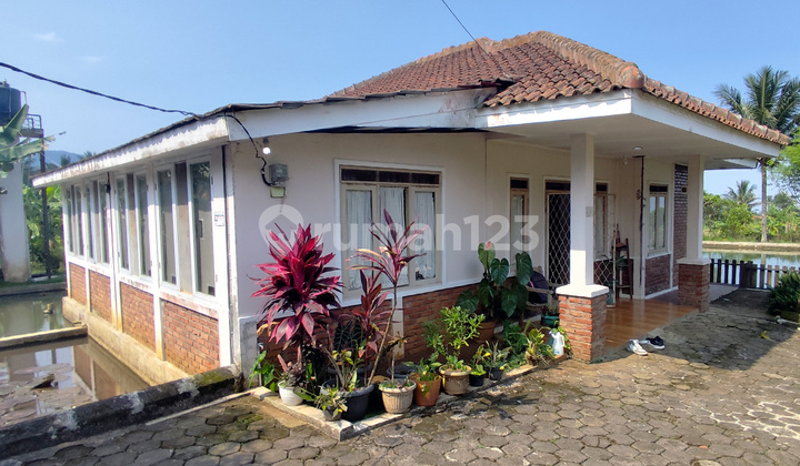 Auctioned Villa: Good & Spacious in Cianjur City Center Below Market Price! 2