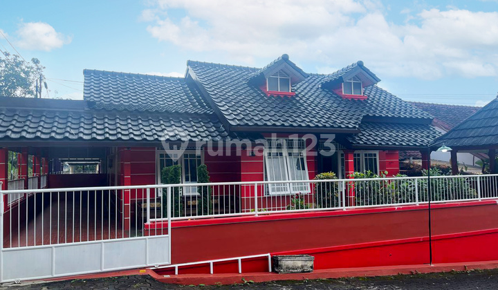 Villa Luas - Bagus di Dekat Cipanas, Cianjur