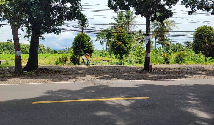 Tanah Luas 2000m2 Cocok Untuk Bisnis di Jalan Provinsi 2