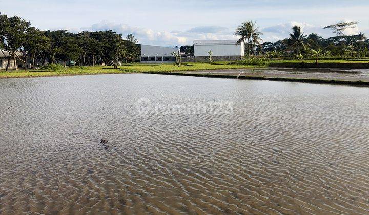 Tanah Sawah 3220 m2 di Karangtengah Dekat Pusat Kota Cianjur 2