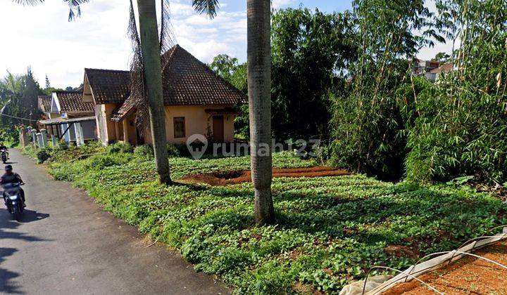 Tanah Luas Cocok Untuk Villa, Harga dibawah NJOP! 1
