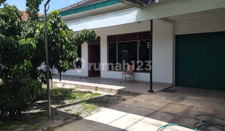 Rumah Tengah Kota Strategislokasi Laweyan - Solo. Dekat Sekolah,Perkantoran,Pusat Kulinerjalan Depan Lebar. Rumah Tengah Kota Strategislokasi Laweyan - Solo. Dekat Sekolah,Perkantoran,Pusat Kulinerjalan Depan Lebar.