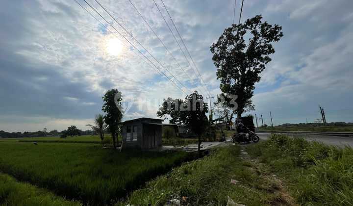 Strategic Land Plot Near Pakis Klaten Main Road Strategic Land Plot Near Pakis Klaten Main Road