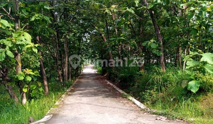 Tanah Pekarangan Hook Strategis Tanah Pekarangan Hook Strategis