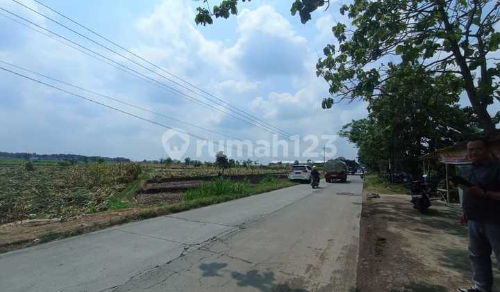 Strategic Red Zone Land with Two Frontages and Flat Terrain Strategic Red Zone Land with Two Frontages and Flat Terrain