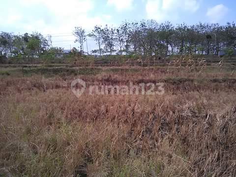 Ready-to-Build Yard Land on the Side of the Solo - Purwodadi Highway, Sragen, Solo