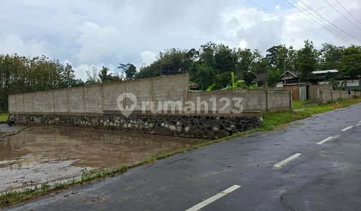 Dry Land Near the Solo-Tawangmangu Road, Iingemplak, Karangpandankaranganyar, Solo