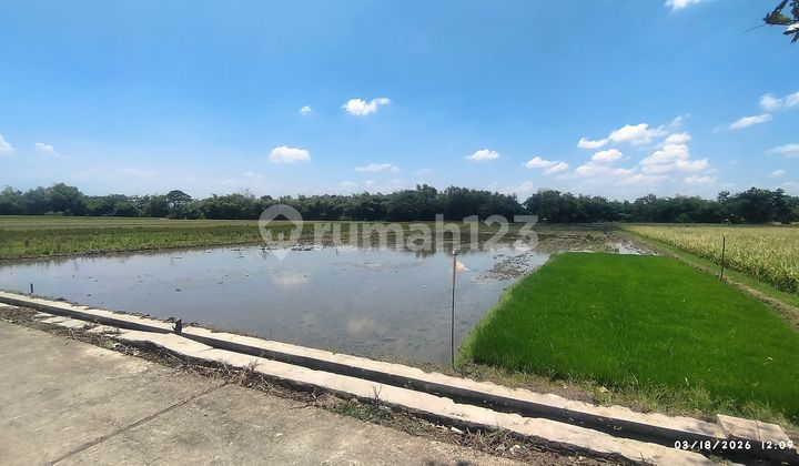 Tanah Sawah Dekat Bandara & Pintu Tol Adi Sumarmo, Ngemplak, Boyolali