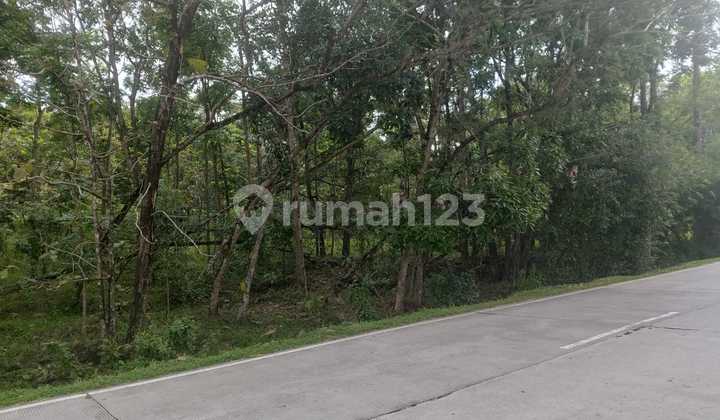 Tanah Zona Industri Dekat Boyolali, 25 Menit ke Gerbang Tol Salatiga