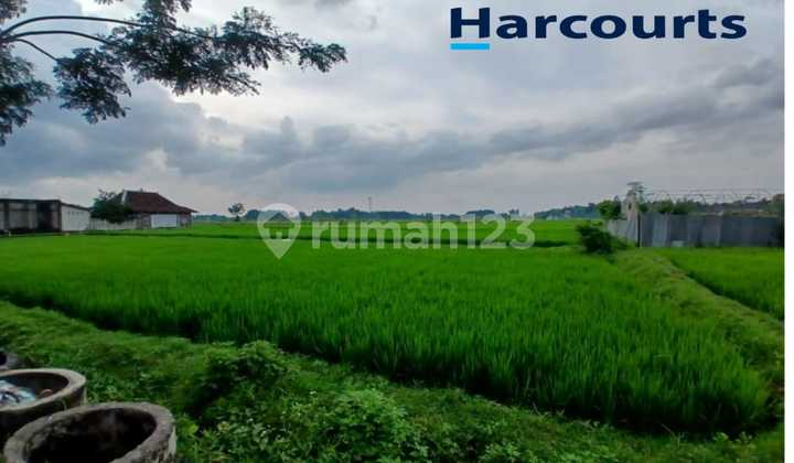 Tanah Zona Merah/Industri Strategis dengan Kontur Tanah Datar di Jalan Raya Solo Purwodadi di Sumber Lawang Sragen