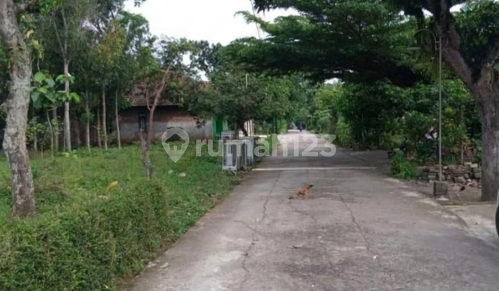 Former Homestay Strategic House in Serengan Solo 2