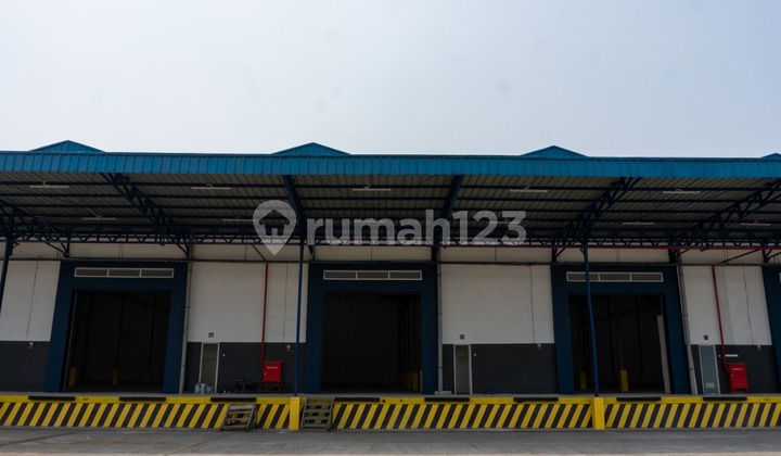 Disewakan Cepat Gudang Lokasi Strategis di Kapuk, Jakarta Utara Disewakan Cepat Gudang Lokasi Strategis di Kapuk, Jakarta Utara