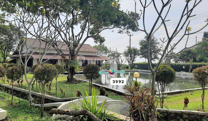 Dijual Disewakan Villa Dan Tanah di Tenjolaya Bogor  1