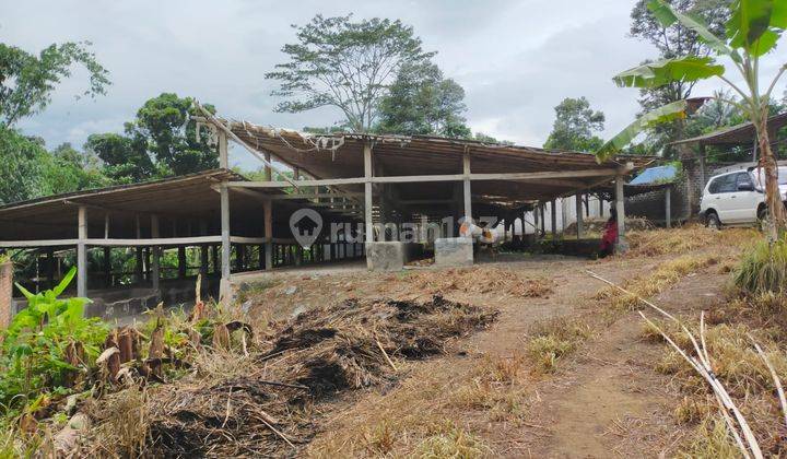 2 Kavling Bekas Kandang Sapi Lokasi Bagus Jarang Ada 2