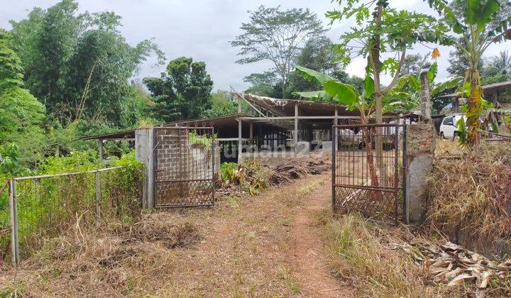 2 Kavling Bekas Kandang Sapi Lokasi Bagus Jarang Ada 1