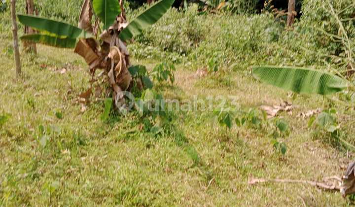 Affordable Land in a Prime Location, Rare Find in CIsauk Tangerang