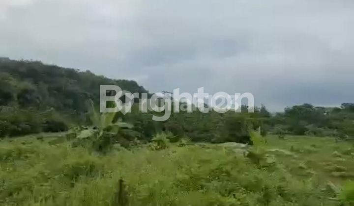 JUAL CEPAT TANAH DAERAH GUNUNG PATI 1