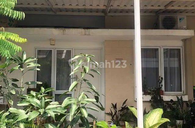 Rumah Dijual Cepat Di Paradise Serpong City Dekat Bsd  1