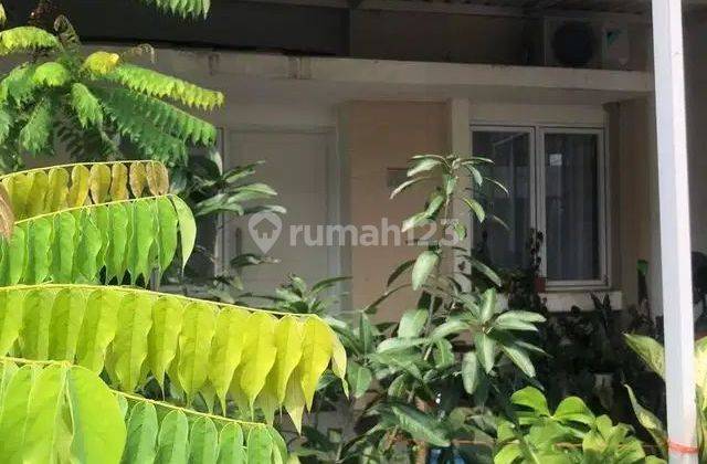 Rumah Dijual Cepat Di Paradise Serpong City Dekat Bsd  2