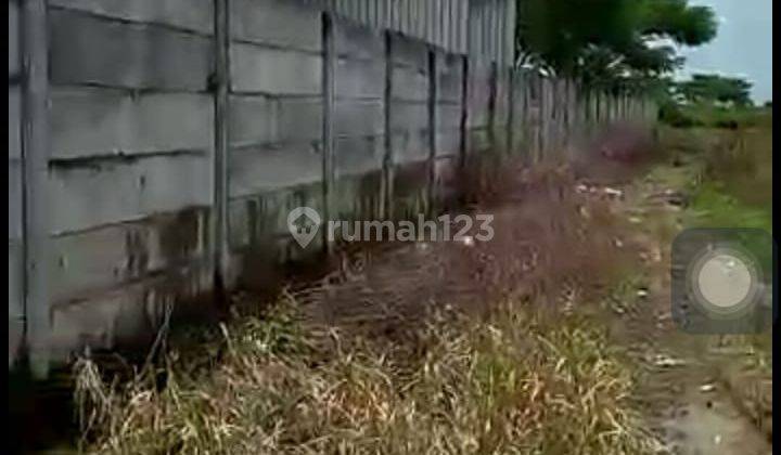 Kavling Widang Tuban Rp 980jt Per M 2