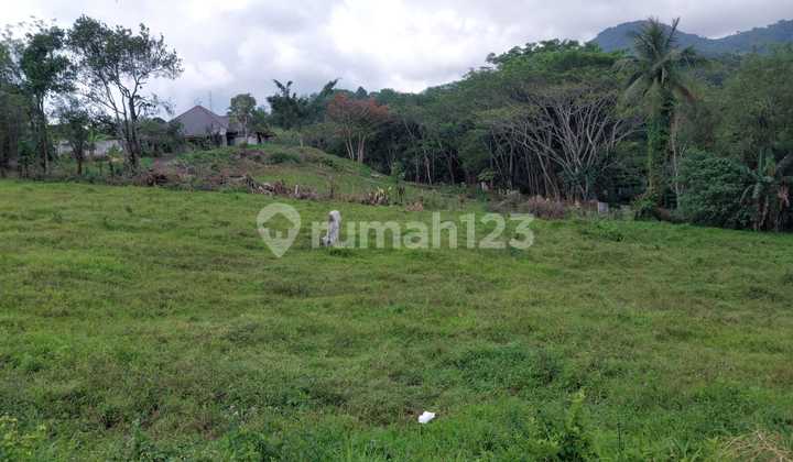 Harga Jauh Dibawah Njop! Tanah Tomohon Utara, Tomohon