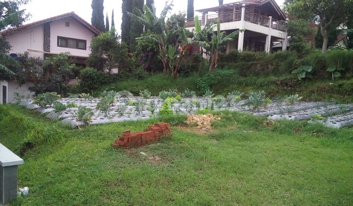 Tanah 333 m2 Istana Bunga