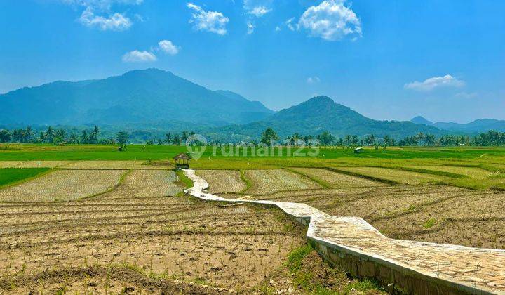 Jual Tanah Kavling Sawah Legalitas SHM Akses Masuk Mobil 2