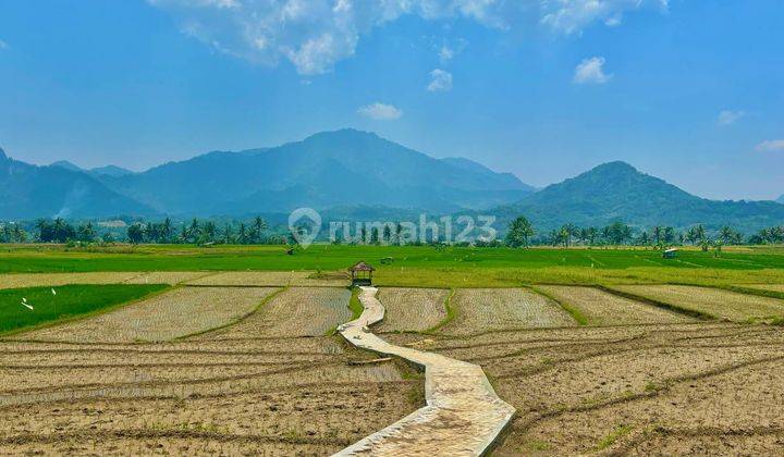 Jual Tanah Kavling Sawah Legalitas SHM Akses Masuk Mobil 2