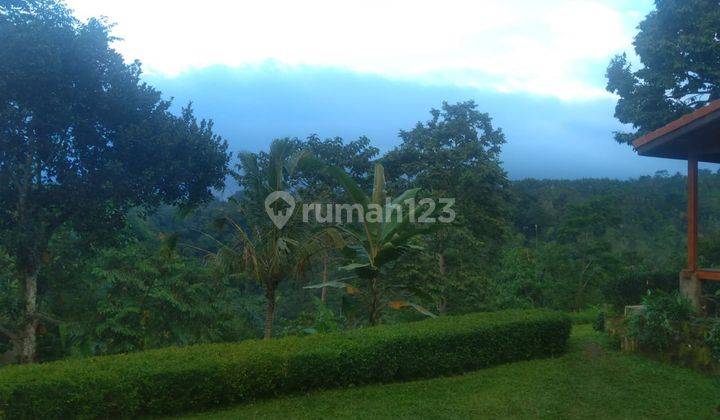 BEAUTIFUL PEACEFUL COTTAGE STYLE WOODEN VILLA IN UBUD 13