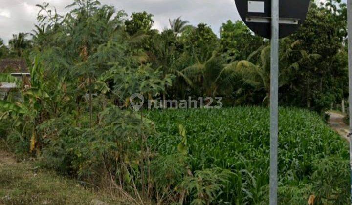 TANAH PREMIUM DI JALUR UTAMA BYPASS BANDARA PRAYA LOMBOK TENG 1