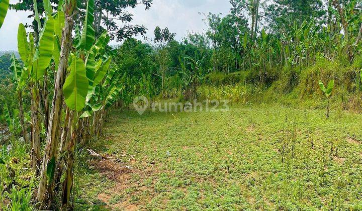 Tanah Di Pinggir Jalan  Kontur Sangat Cocok Utk Resort  1