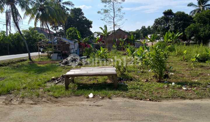 Tanah Cariu  Bogor Lokasi Pinggir Jalan 