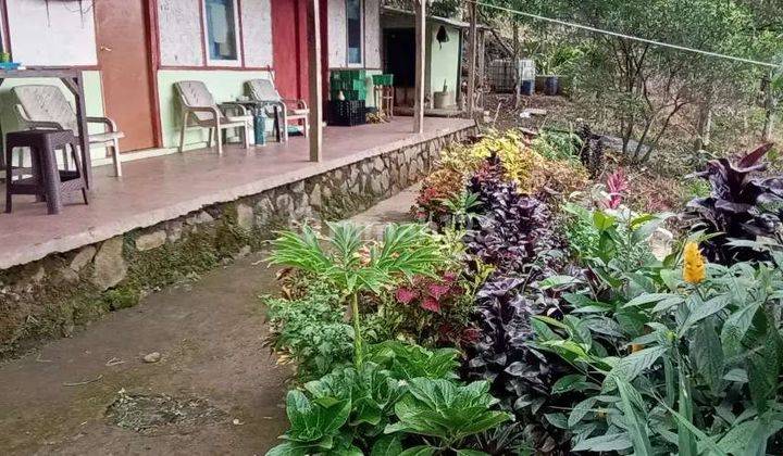 Lahan Kebun di Cipanas Jawa Barat 4
