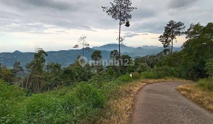 Lahan Kebun di Cipanas Jawa Barat 10