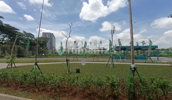 Brand New Citra 8 The Forestine Harga Promo Free Ppn Grab Now 2