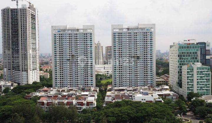 Apartemen Springhill Terrace 2 Br, Shm, Furnish, Jual Termurah Bu, Good Location, Best Investmen 2