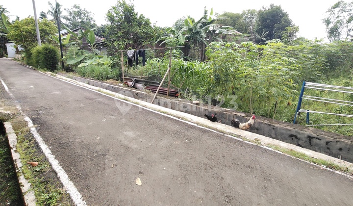 Tanah Kosong Nuansa Pedesaan Karangcegak Sumbang Purwokerto